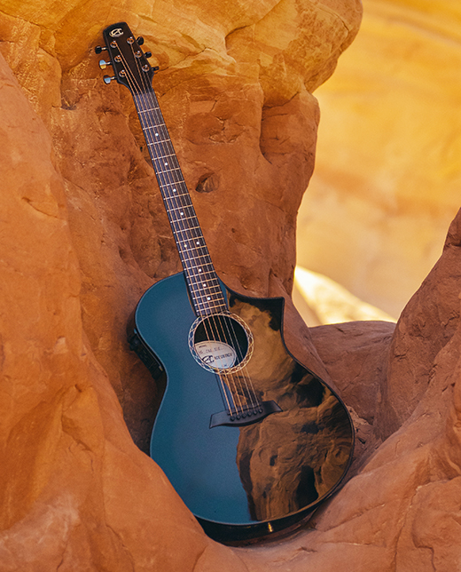 Composite acoustics cargo guitar store for sale